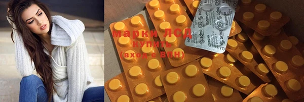 ПСИЛОЦИБИНОВЫЕ ГРИБЫ Новокубанск