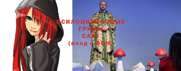 таблы Новодвинск