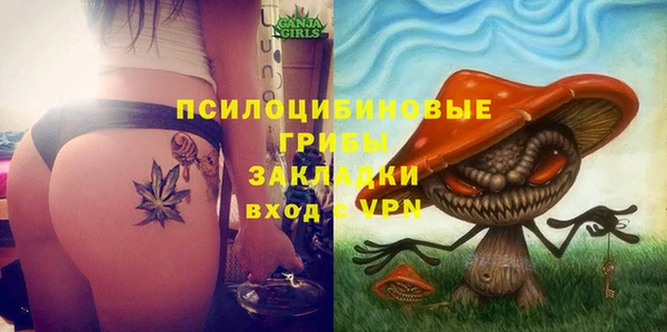 таблы Новодвинск