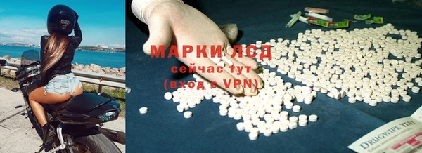 таблы Новодвинск