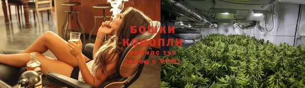 ПСИЛОЦИБИНОВЫЕ ГРИБЫ Новокубанск