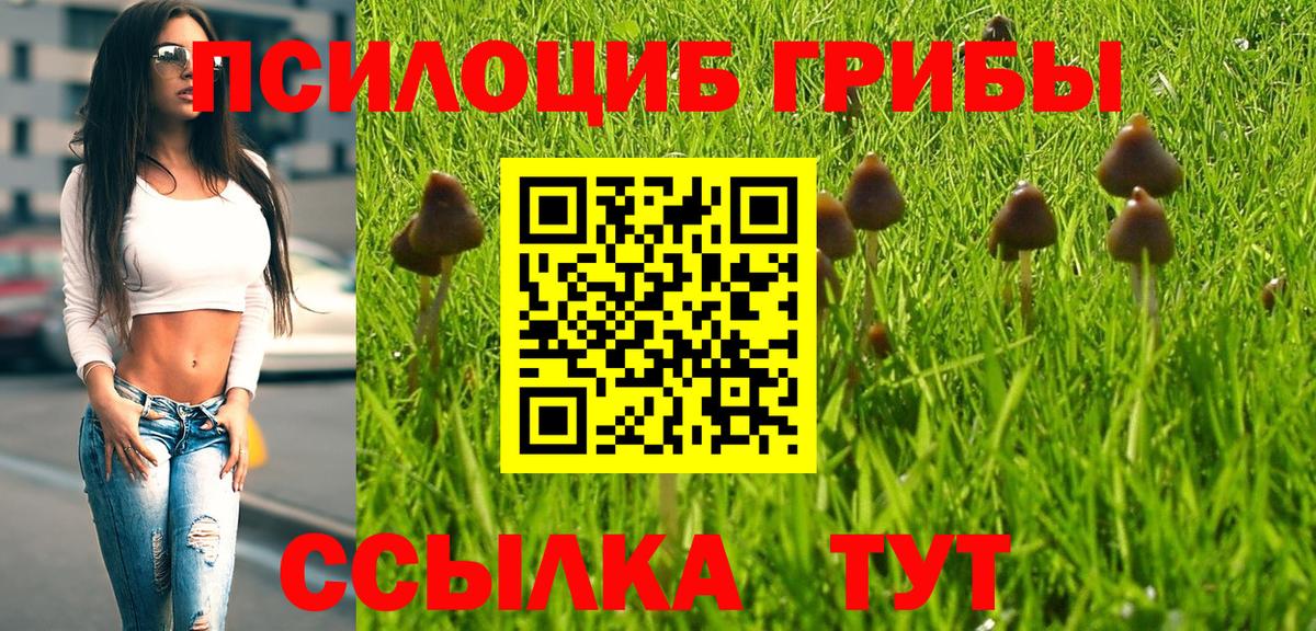 Бошки Шишки Лесозаводск