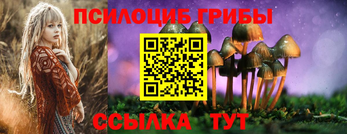 Псилоцибиновые грибы Cubensis Лесозаводск